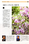 SANKEI EXPRESS