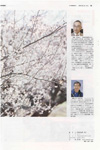 SANKEI EXPRESS