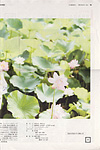SANKEI EXPRESS