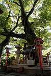 若一神社