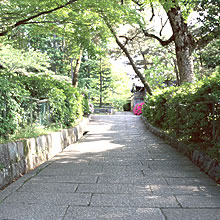 ゆかた(浴衣)姿のキレイな撮られ方 背景 できるだけすっきりしていて、雰囲気の良い場所を選びます。